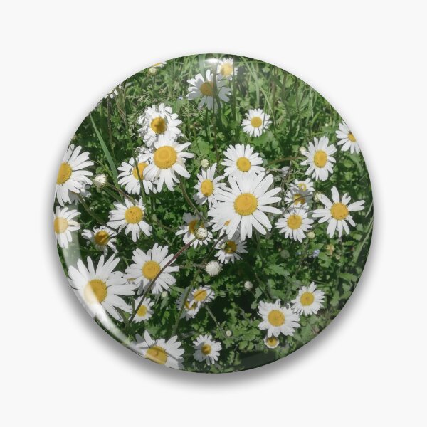 Item preview, A photograph of white daisies.  designed and sold by esvb.