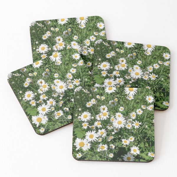 Item preview, A photograph of white daisies.  designed and sold by esvb.