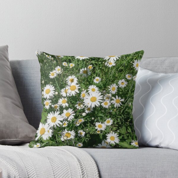 Item preview, A photograph of white daisies.  designed and sold by esvb.
