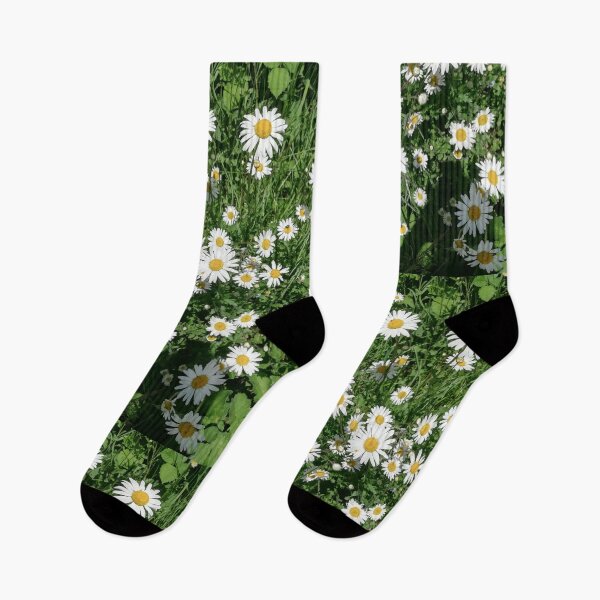 Item preview, A photograph of white daisies.  designed and sold by esvb.