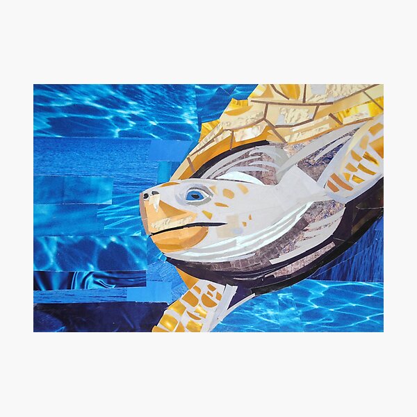 Sea Explorer Photographic Print