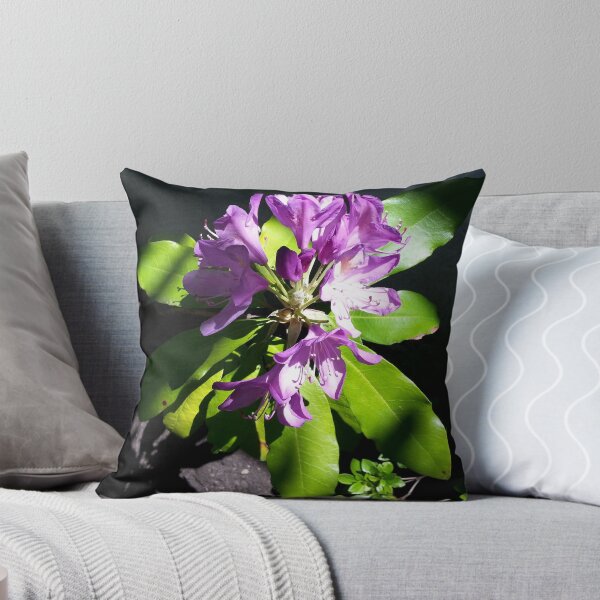 Item preview, Rodie en la primavera designed and sold by oneeyephoto.