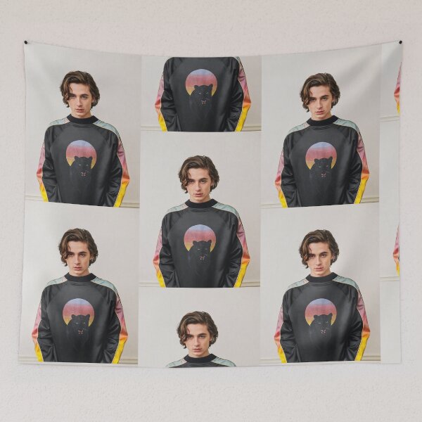 Aperçu de l'œuvre Timothée Chalamet créée et vendue par Phoebemorritt.