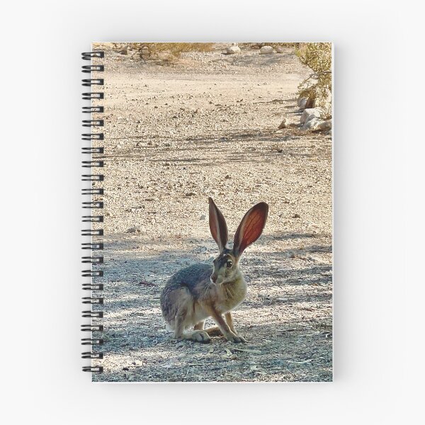 Item preview, Jack Rabbit  designed and sold by MarklandBarter.