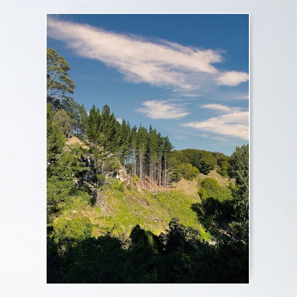 Item preview, Forest Trees Landscape designed and sold by Michael McGimpsey.