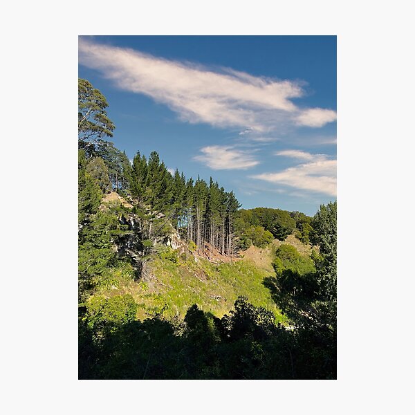 Item preview, Forest Trees Landscape designed and sold by Michael McGimpsey.
