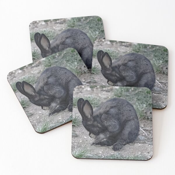 Item preview, Bunny Bow designed and sold by CarolM.