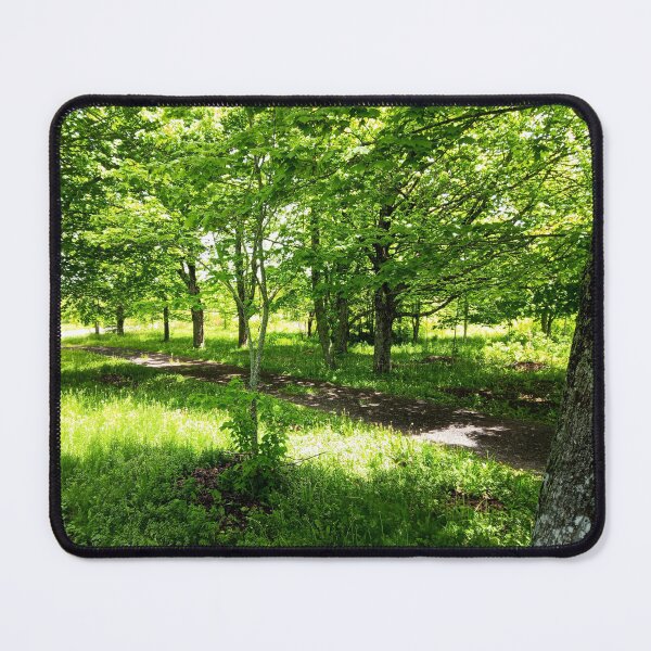 Item preview, Early summer green trees and grasses designed and sold by naturematters.