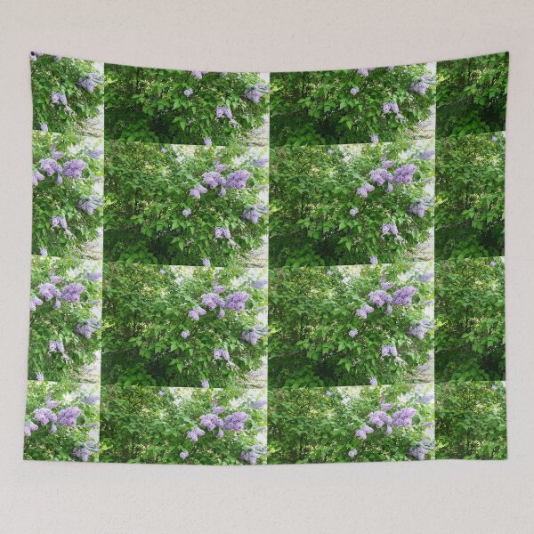 Item preview, Summer lilac flowering bush designed and sold by naturematters.