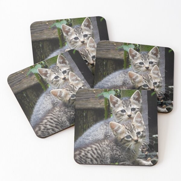 Item preview, Two Kitten Siblings designed and sold by schostix.
