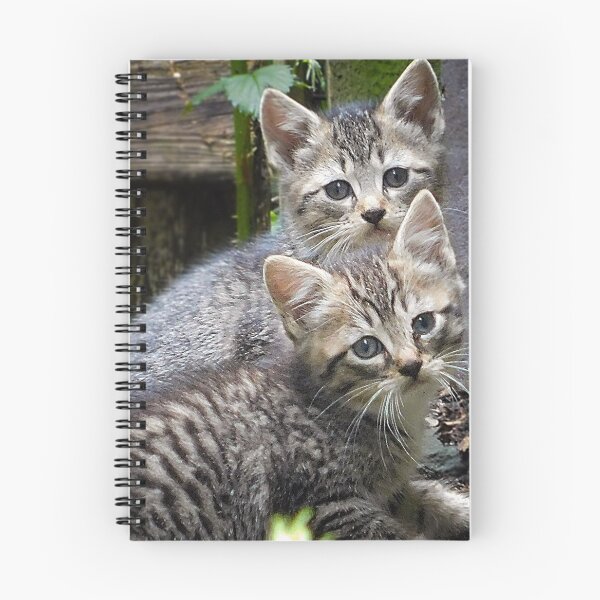 Item preview, Dos hermanos gatitos designed and sold by schostix.