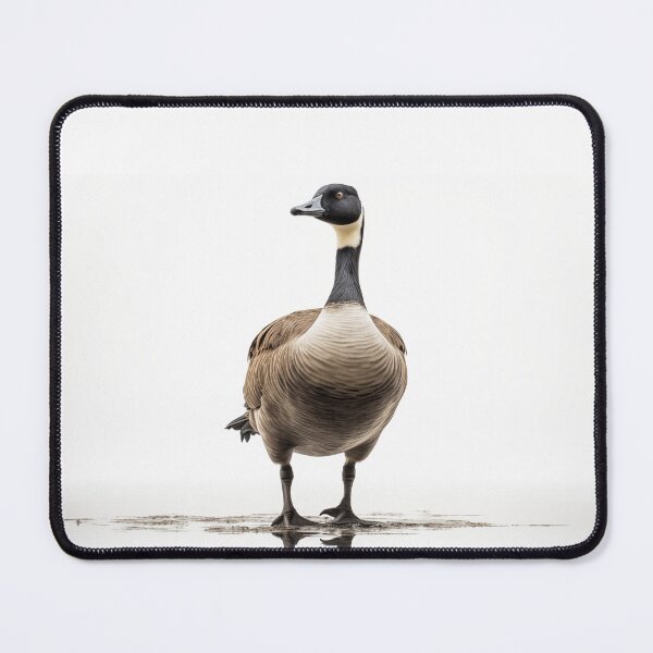 Item preview, Branta canadensis Goose with a White Background illustration designed and sold by Roxane Bay.
