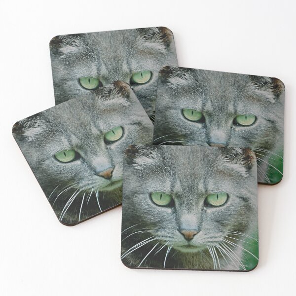 Item preview, Graybert the Feral Cat designed and sold by schostix.