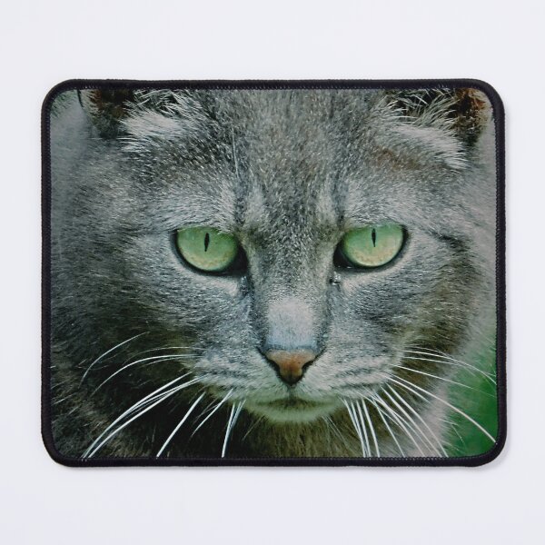 Item preview, Graybert the Feral Cat designed and sold by schostix.