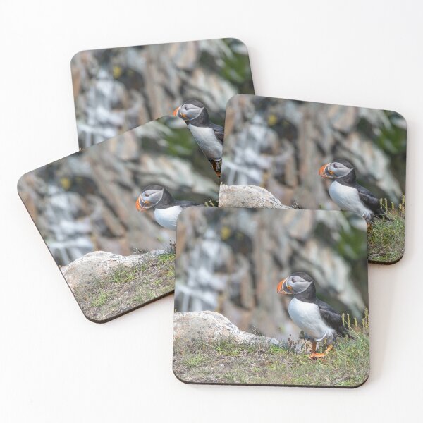 Item preview, Puffin at Cape Bonavista, Newfoundland 1 designed and sold by jrtwynam.