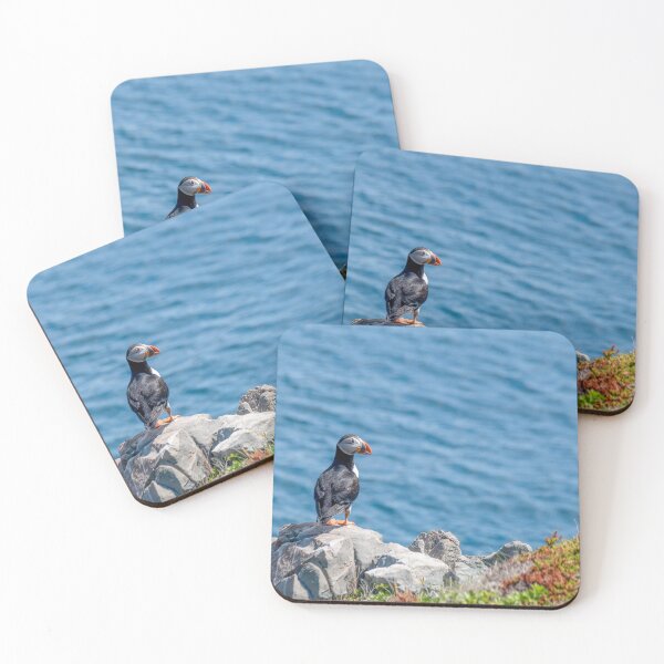 Item preview, Puffin at Cape Bonavista, Newfoundland 3 designed and sold by jrtwynam.