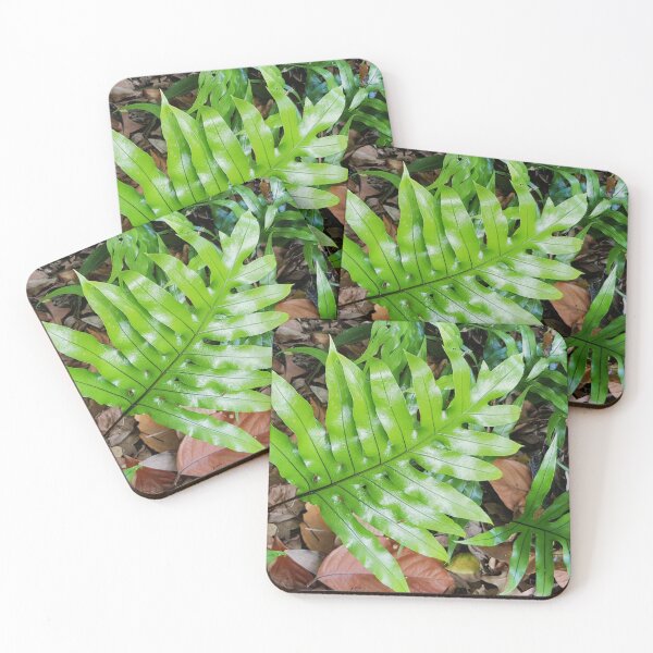 Item preview, Australian Kangaroo Fern  designed and sold by Designsbygroovy.