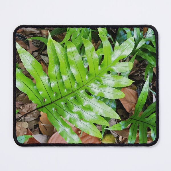 Item preview, Australian Kangaroo Fern  designed and sold by Designsbygroovy.