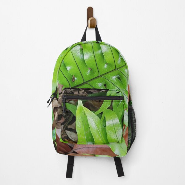 Item preview, Australian Kangaroo Fern designed and sold by Designsbygroovy.