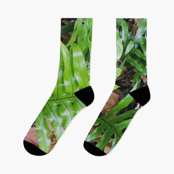 Item preview, Australian Kangaroo Fern  designed and sold by Designsbygroovy.