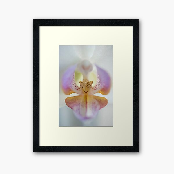 Center of the Orchid Framed Art Print