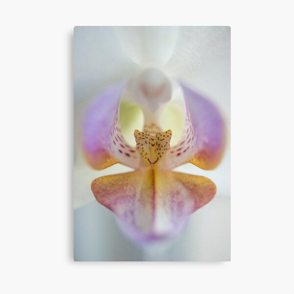 Center of the Orchid Canvas Print