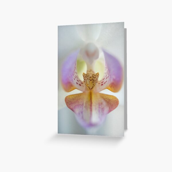 Center of the Orchid Greeting Card