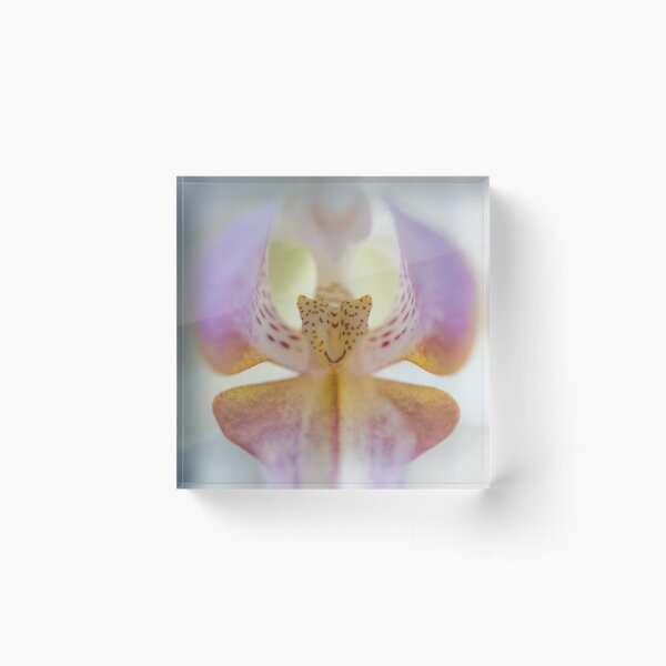 Center of the Orchid Acrylic Block