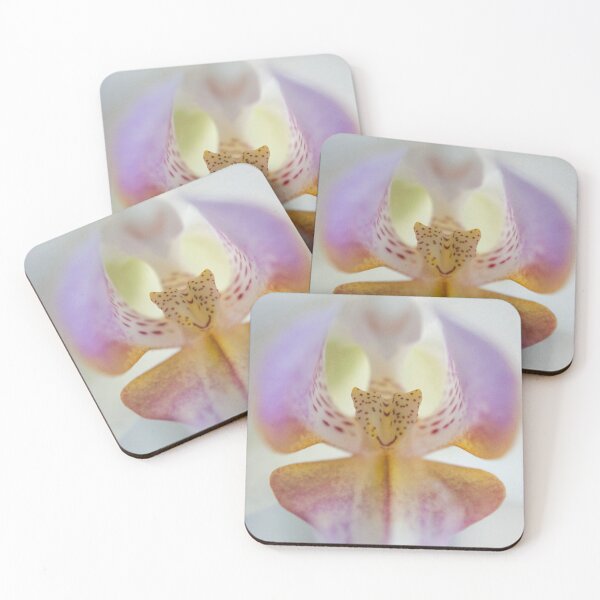 Center of the Orchid Coasters (Set of 4)
