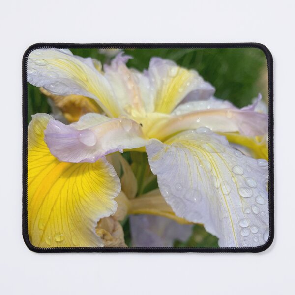 Item preview, Irises after the rain designed and sold by agnessa38.