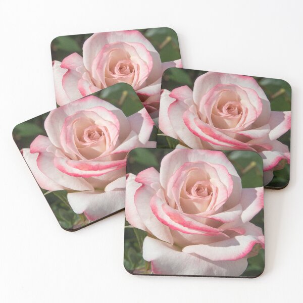 Item preview, Pinkerbelle Rose designed and sold by artbykyleigh :).