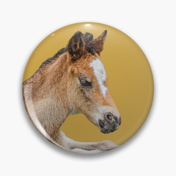 Item preview, New Forest Foal designed and sold by Dalyndigital Photography.