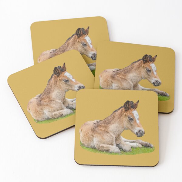 Item preview, New Forest Foal designed and sold by Dalyndigital Photography.