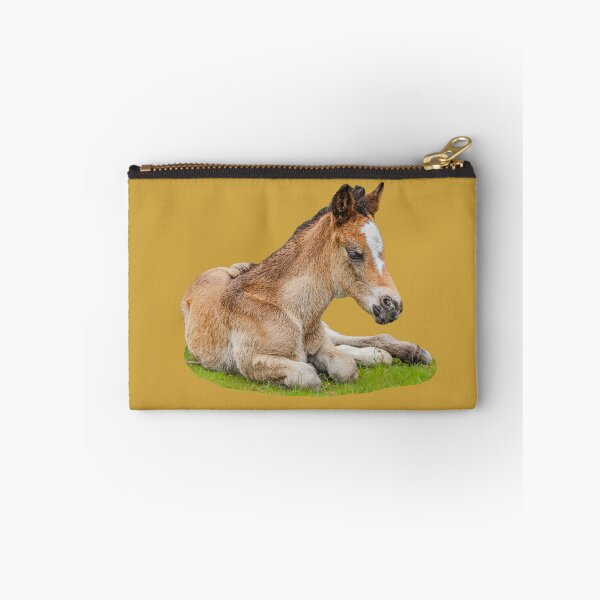 Item preview, New Forest Foal designed and sold by Dalyndigital Photography.