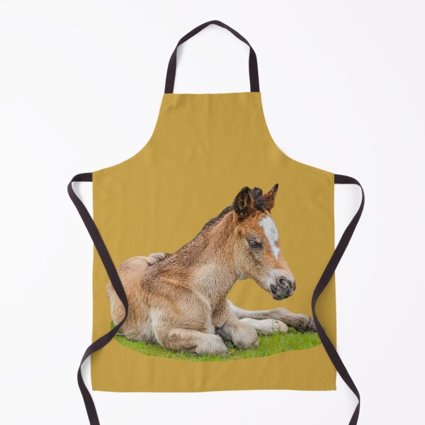 Item preview, New Forest Foal designed and sold by Dalyndigital Photography.