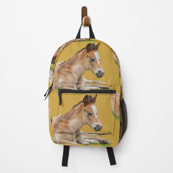Item preview, New Forest Foal designed and sold by Dalyndigital Photography.