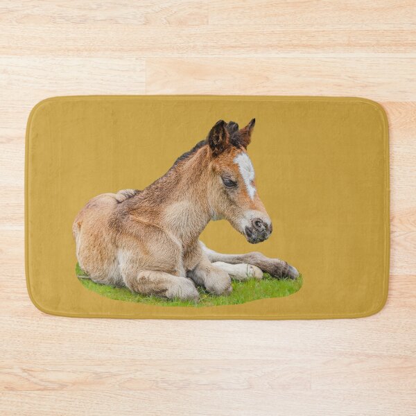 Item preview, New Forest Foal designed and sold by Dalyndigital Photography.