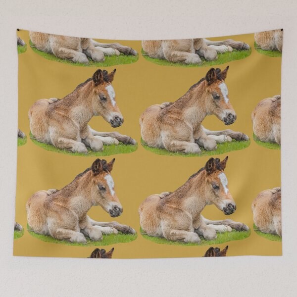 Item preview, New Forest Foal designed and sold by Dalyndigital Photography.