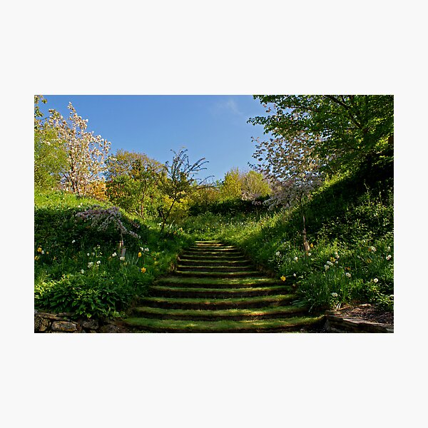 The Green Steps Photographic Print