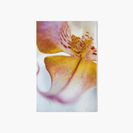 Orchid Petal Art Board Print