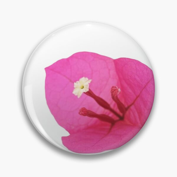 Item preview, The pink bract has a papery texture designed and sold by supakor.