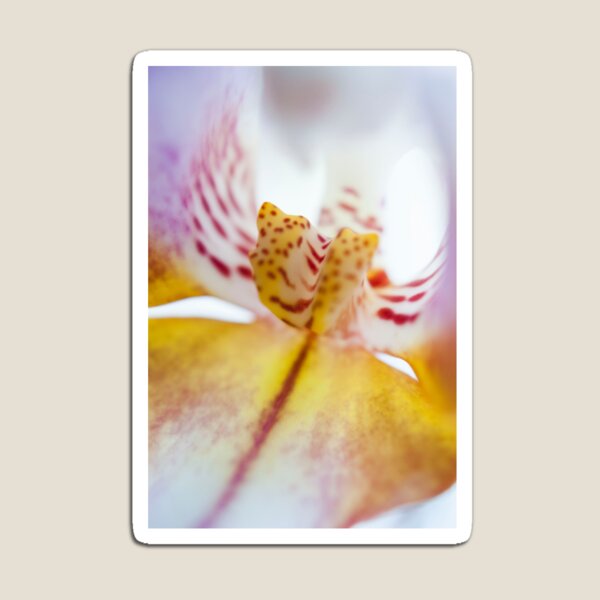 Spotted Orchid Magnet