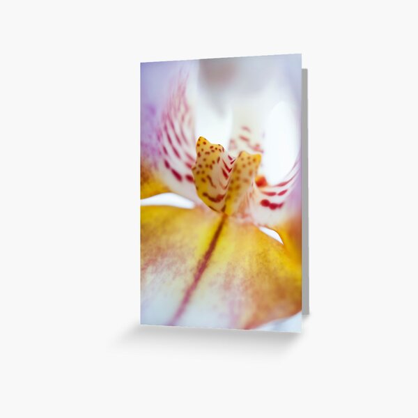 Spotted Orchid Greeting Card