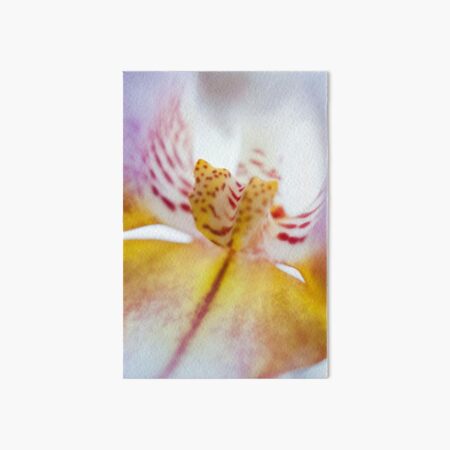 Spotted Orchid Art Board Print