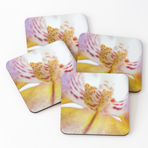 Spotted Orchid Coasters (Set of 4)