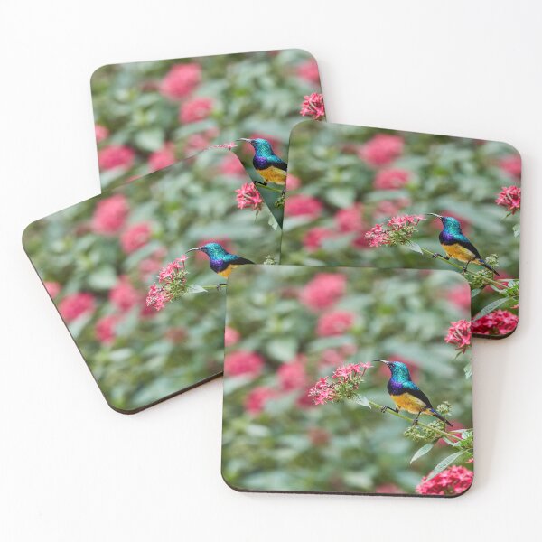 Item preview, Sunbird on a Starcluster designed and sold by Eidetic Photos.