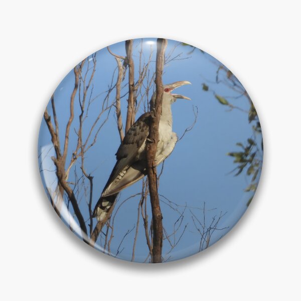 Item preview, Channel-billed cuckoo or Storm birds designed and sold by Jenny  Dyer.