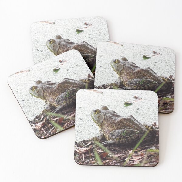 Item preview, American Bullfrog designed and sold by MercerImages.