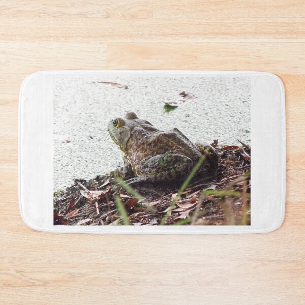 Item preview, American Bullfrog designed and sold by MercerImages.