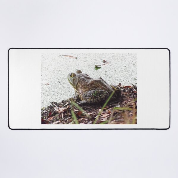 Item preview, American Bullfrog designed and sold by MercerImages.